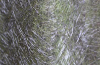 Yockenthwaite fibreglass roof work